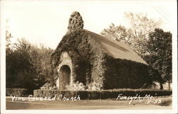 Vine Covered Church Postcard