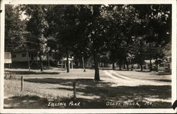 Electric Park Postcard