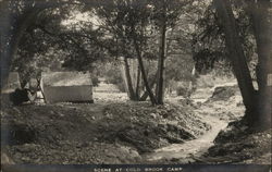 Scene at Cold Brook Camp - Tent Beneath Trees Near Stream Azusa, CA Postcard Postcard Postcard