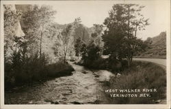 West Walker River Yerington, NV Postcard Postcard Postcard