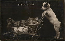 Baby's Outing Dogs Postcard Postcard Postcard