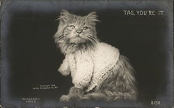 Tag, You're It Cat Postcard