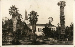 Church with Steeple Amid Palm Trees Postcard