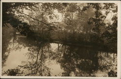 View of River Postcard