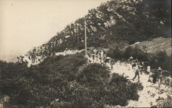 Stock #592499 Thumbnail