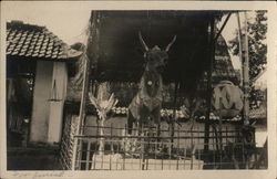 Decorated Animal in Cage with Ornate Artifacts for Burial Decorated Animal in Cage with Ornate Artifacts for Burial