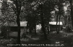 Woodland Path, Birchcliffe Grand Isle, VT Postcard Postcard Postcard