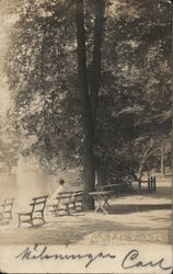 Person Seated on Bench Under Trees Near Water Postcard