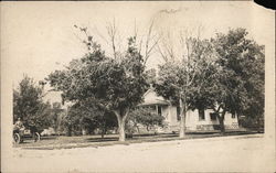 House Among Trees with Automobile in Front Postcard