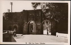 Old City Gates Postcard