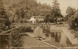 Fish Hatchery on Columbia River Highway Bonneville, OR Postcard Postcard Postcard