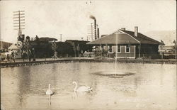 N.N. Depot Postcard