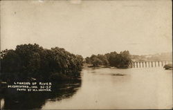 Looking Up River Postcard