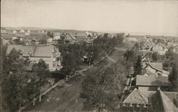 Bird's-Eye View of City Street with Houses Postcard