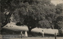 A Corner of the Croquet Grounds, Mendenhall Springs Livermore, CA Postcard Postcard Postcard