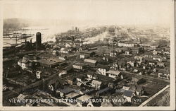 View of Business Section Postcard