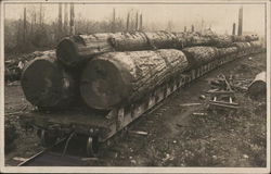 Logging in the West - A Train of Big Logs Ready for Transportation Postcard Postcard Postcard