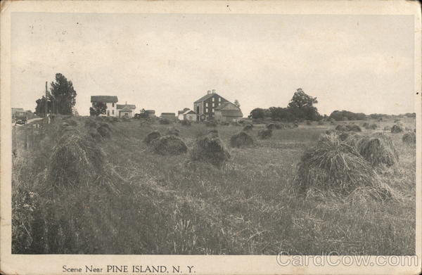 Farm House and Land Pine Island New York