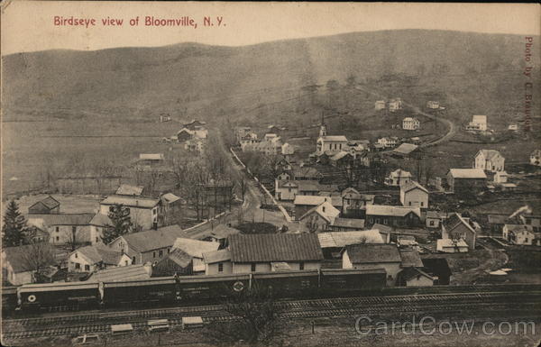 Birdseye View of Bloomville New York