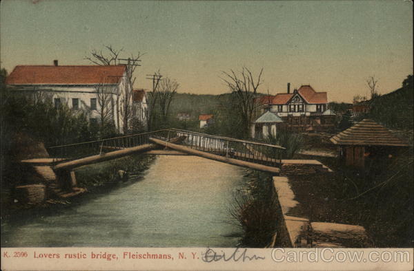 Lovers Rustic Bridge Fleischmanns New York