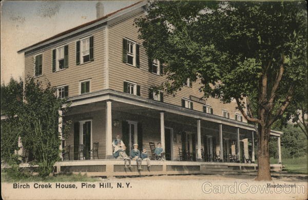 Birch Creek House Pine Hill New York