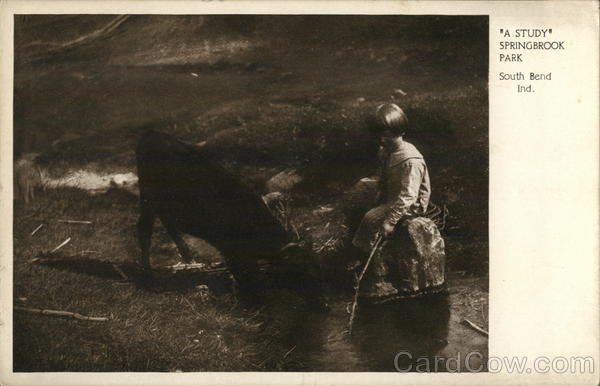 A Study - Springbrook Park South Bend Indiana