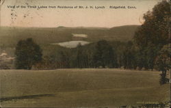 View of Three Lakes from Residence of Mr JH Lynch Postcard