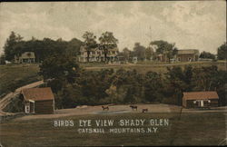 Bird's Eye View Shady Glen Postcard