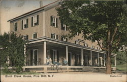 Birch Creek House Pine Hill, NY Postcard Postcard Postcard