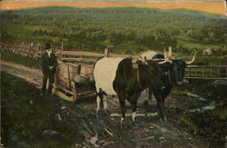 Durner Sleighing in the Catskills Postcard