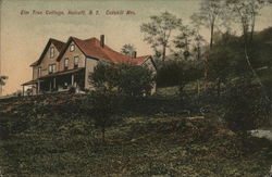 Elm Tree Cottage in the Catskill Mountains Postcard