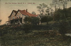 Elm Tree Cottage in the Catskill Mountains Postcard