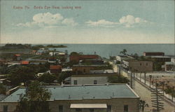 Bird's Eye View looking West Eustis, FL Postcard Postcard Postcard