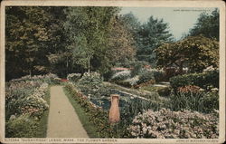 Sunnyridge Postcard