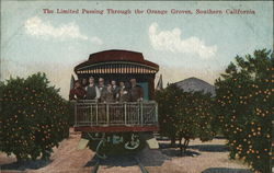 The Limited Passing Through the Orange Groves California Trains, Railroad Postcard Postcard Postcard