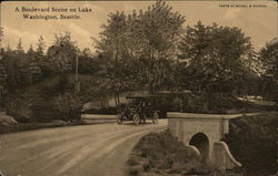 A Boulevard Scene on the Lake Seattle, WA Postcard Postcard Postcard