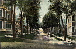 Residences along Pleasant Street Postcard