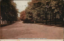 Tree Lined Sunnyside Driveway Postcard