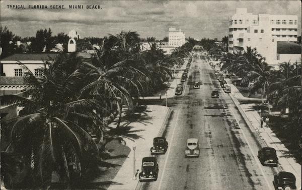 Typical Florida Scene Miami Beach