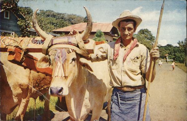 Boyero Tipico Costa Rica Gordon J. Houser Central America