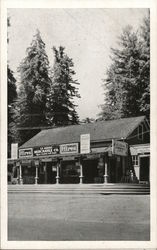 Bandit Built Store, La Honda Canyon Postcard