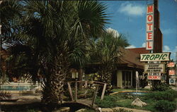 Tropic Motel Winter Haven, FL Postcard Postcard Postcard