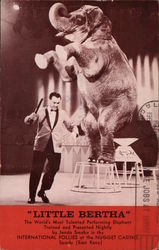 "Little Bertha" Performing Elephant Sparks, NV Elephants Postcard Postcard Postcard