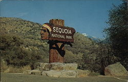 Sequoia National Park Sequoia & Kings Canyon National Parks Postcard Postcard Postcard