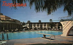 The Tropicana Hotel Pool Las Vegas, NV Postcard Postcard Postcard
