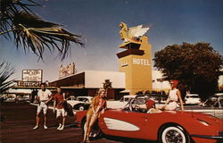 The New Thunderbird Hotel Postcard