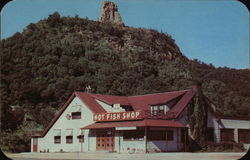 The Hot Fish Shop Winona, MN Postcard Postcard Postcard