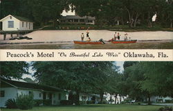 Peacock's Motel Oklawaha, FL Postcard Postcard Postcard