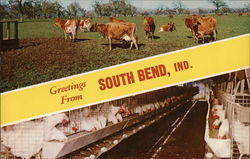 Greetings From South Bend, Ind. Indiana Postcard Postcard Postcard