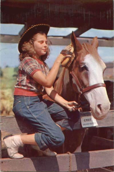 Bluejeans Cowgirl Cowboy Western
